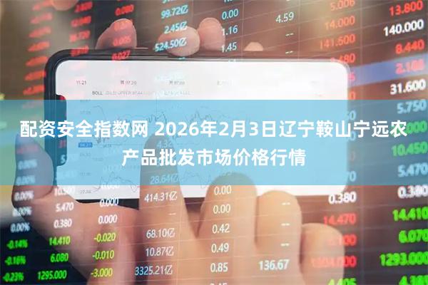 配资安全指数网 2026年2月3日辽宁鞍山宁远农产品批发市场价格行情