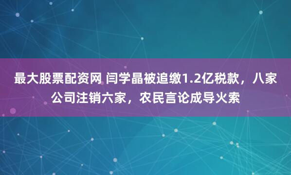 最大股票配资网 闫学晶被追缴1.2亿税款，八家公司注销六家，农民言论成导火索