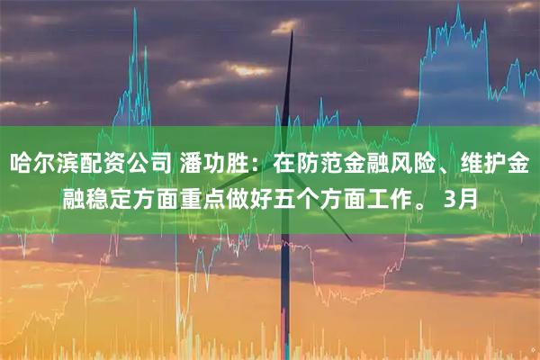 哈尔滨配资公司 潘功胜：在防范金融风险、维护金融稳定方面重点做好五个方面工作。 3月