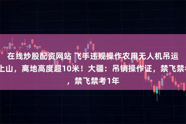 在线炒股配资网站 飞手违规操作农用无人机吊运人员上山,离地高度超10米!大疆:吊销操作证,禁飞禁考1年